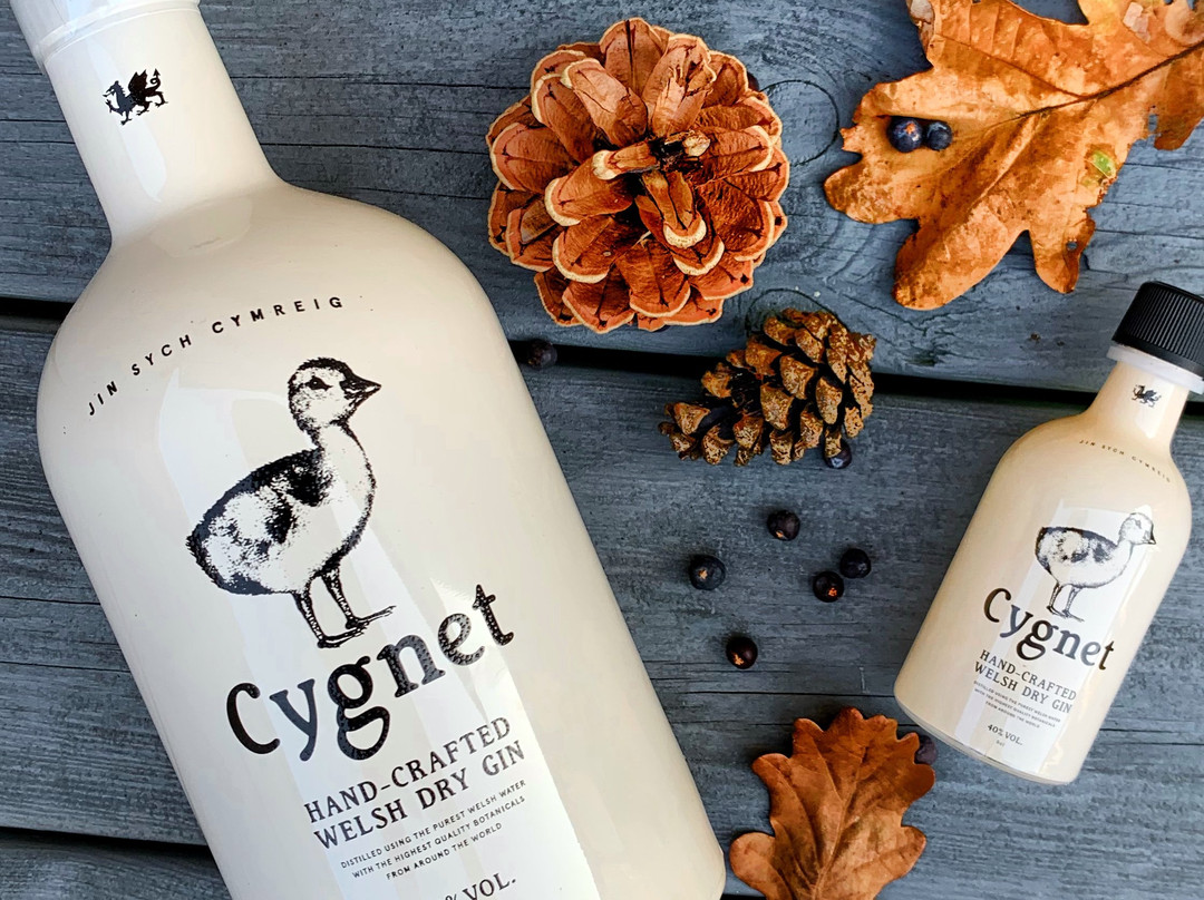 Cygnet Distillery-斯温西必去景点