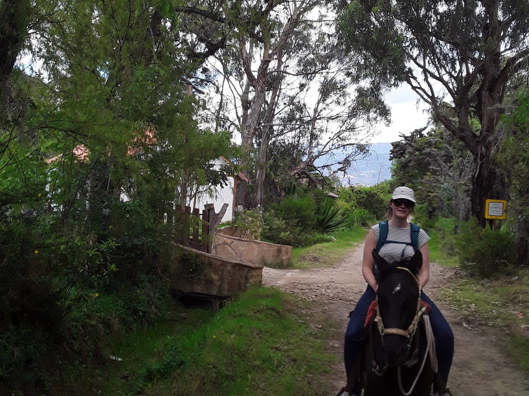 Janto Eco-turismo Equino Cabalgatas y Caminatas景点图片