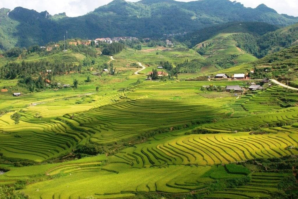 Sapa Local Trekking Adventures