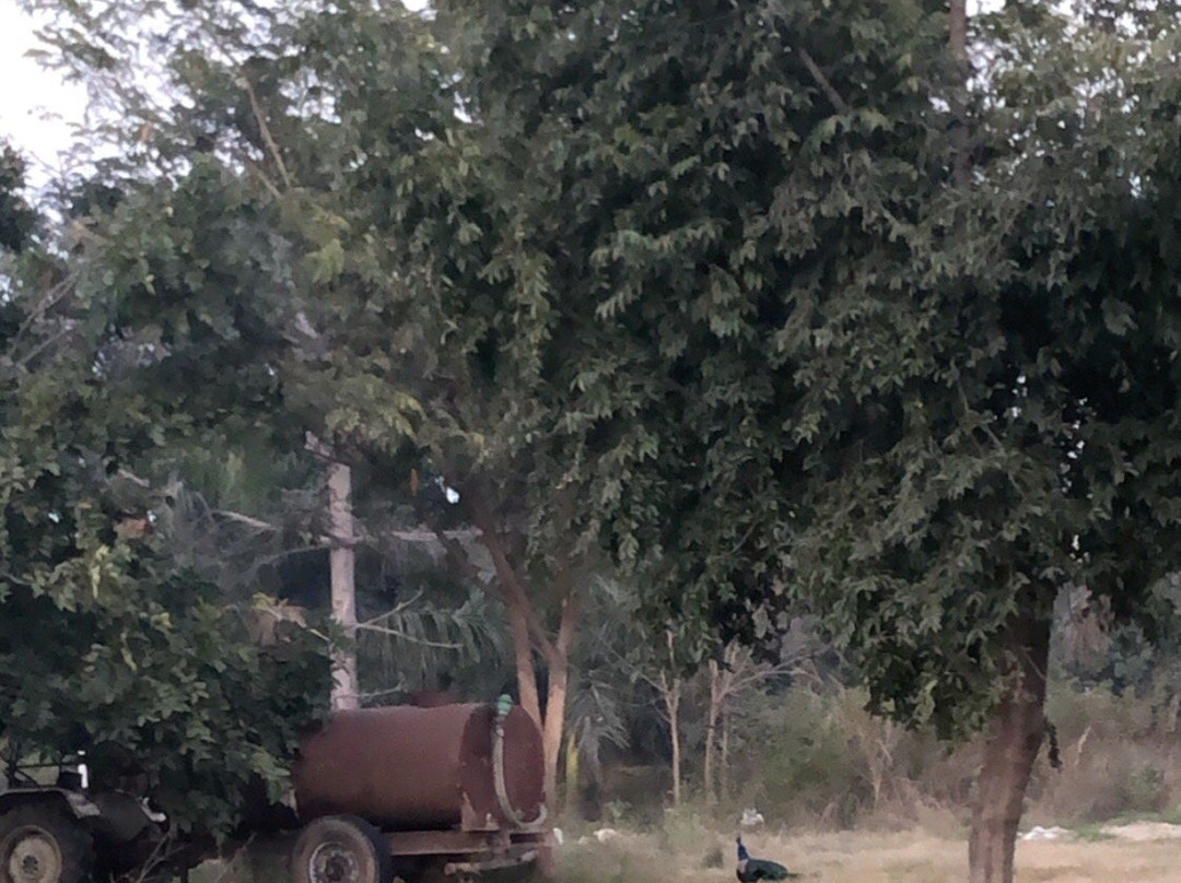 Open Hand Monument-昌迪加必去景点