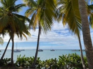 椰子园酒店主图