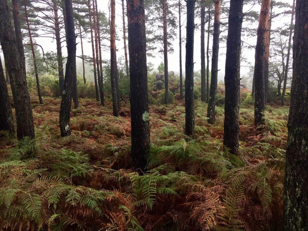 Peneda-Gerês National Park & Northern Portugal Hiking Tours景点图片