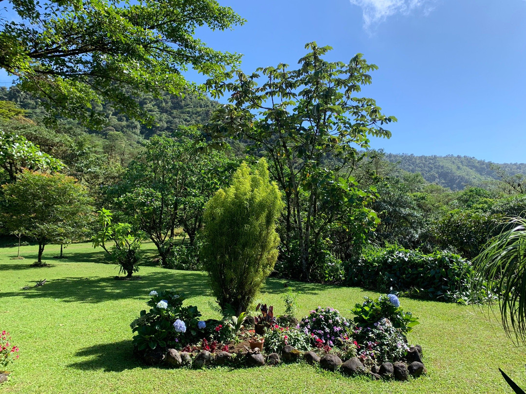 El Canto Del Rio主图