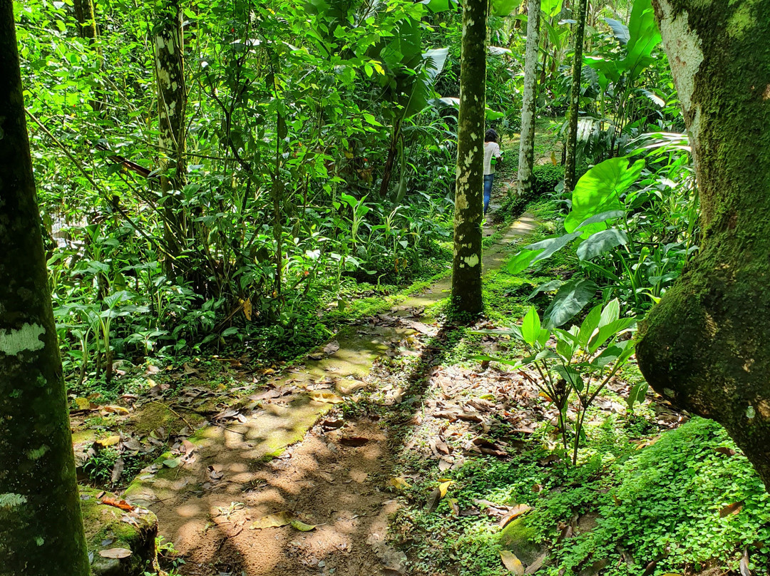 Pousada Sitio Itauna主图