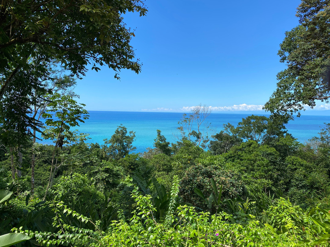 La Paloma Lodge Drake Bay主图