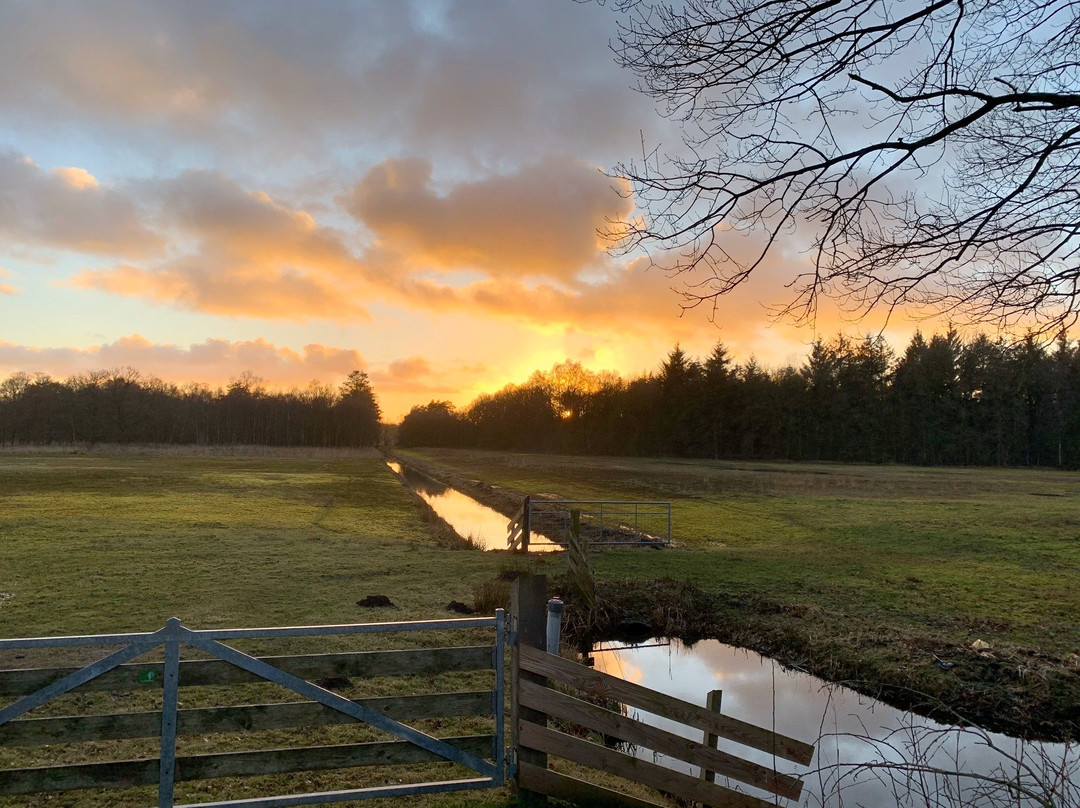 Hotel & Restaurant De Stripe主图