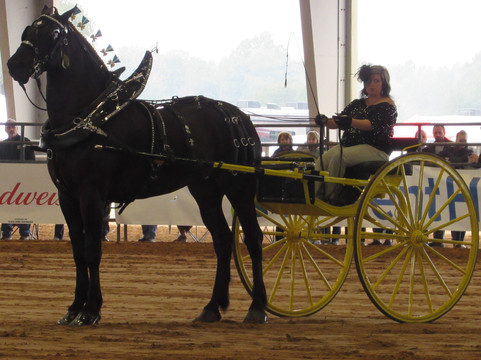 Florida Horse Park-奥卡拉必去景点