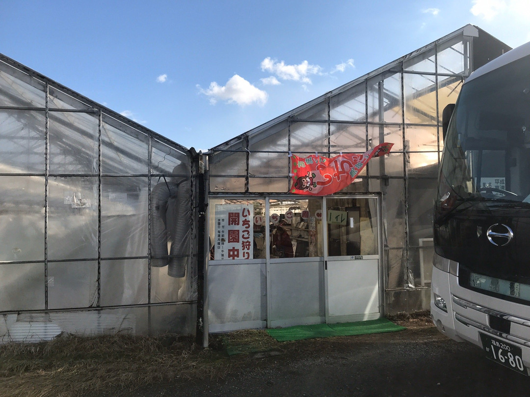 Strawberry Farm-寒河江市必去景点