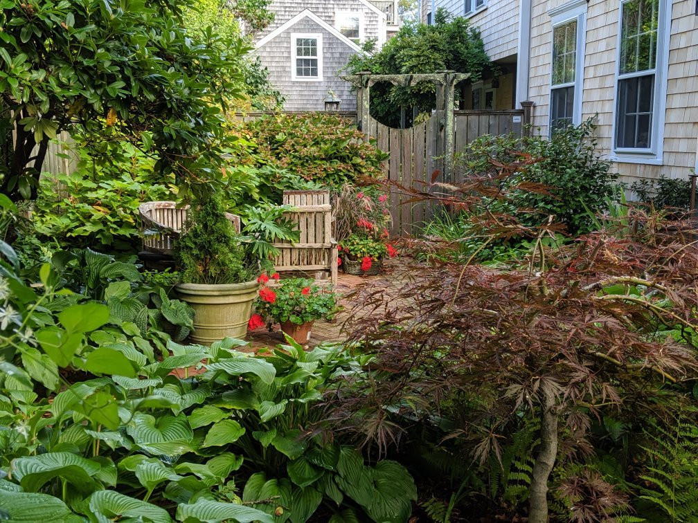 Chestnut House主图