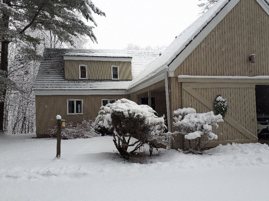 Eagles at Sugarbush主图