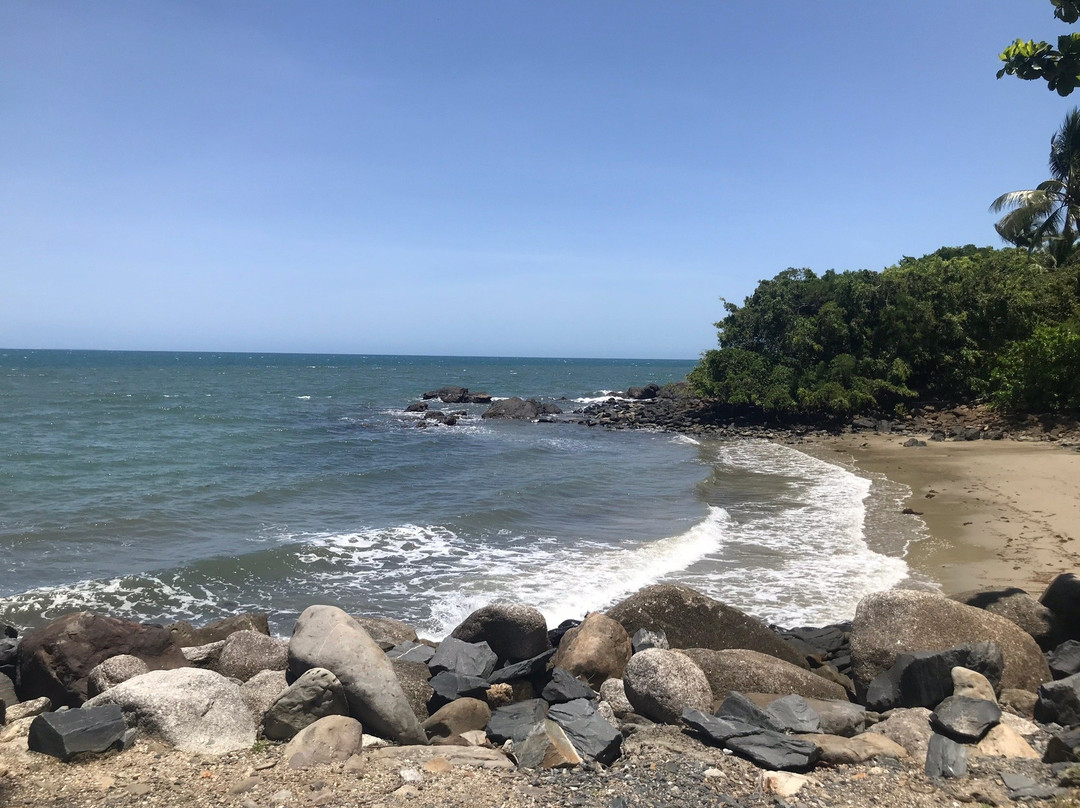 Rex Smeal Park-道格拉斯港必去景点