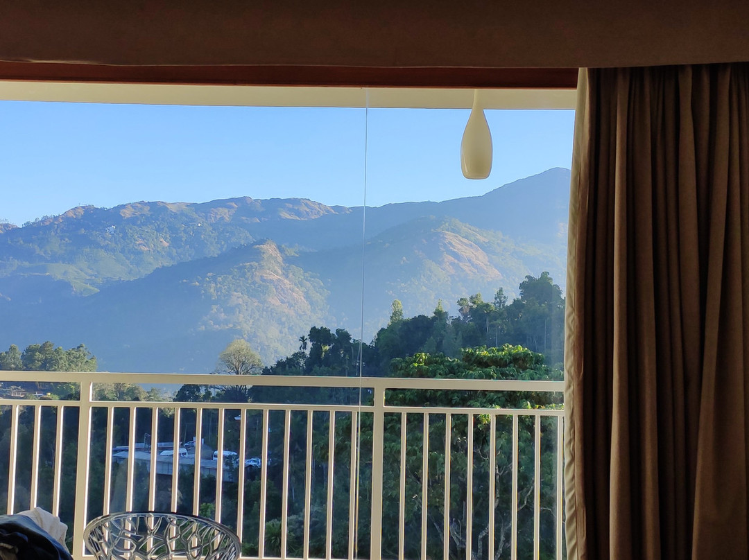 The Fog Munnar Resorts & Spa主图