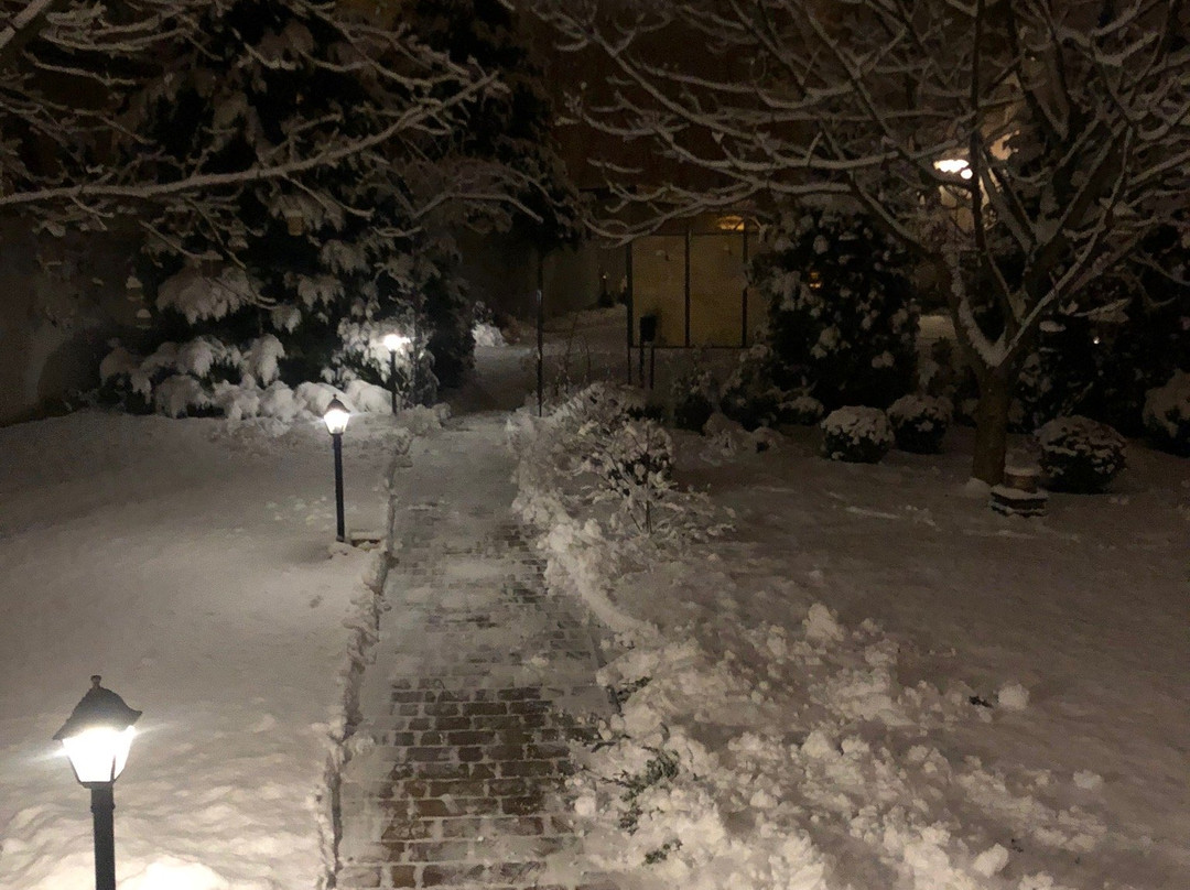 Art Pension Dans Le Parc主图