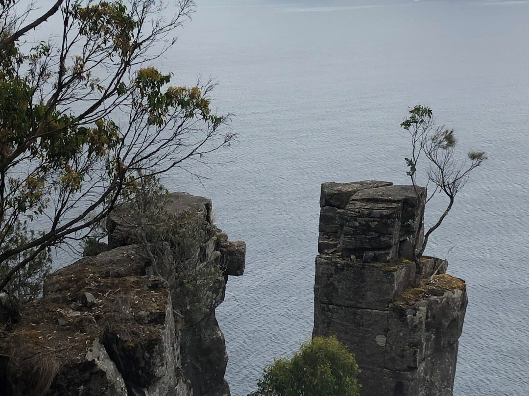 Tasmanian Wilderness Experiences景点图片