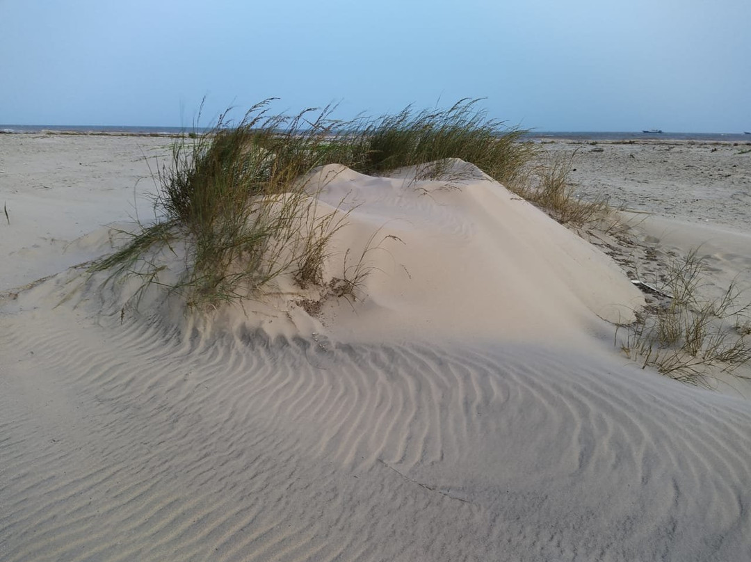 Ocean Beach Resort & Spa主图