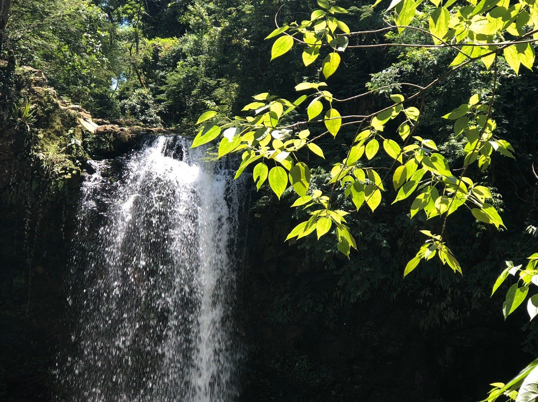 Cachoeira Cascatinha-Aguas da Prata必去景点