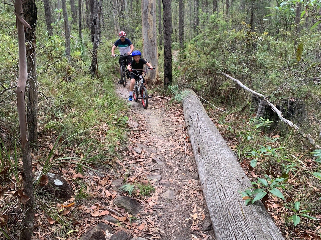 Ewen Maddock Mountain Bike Trail景点图片