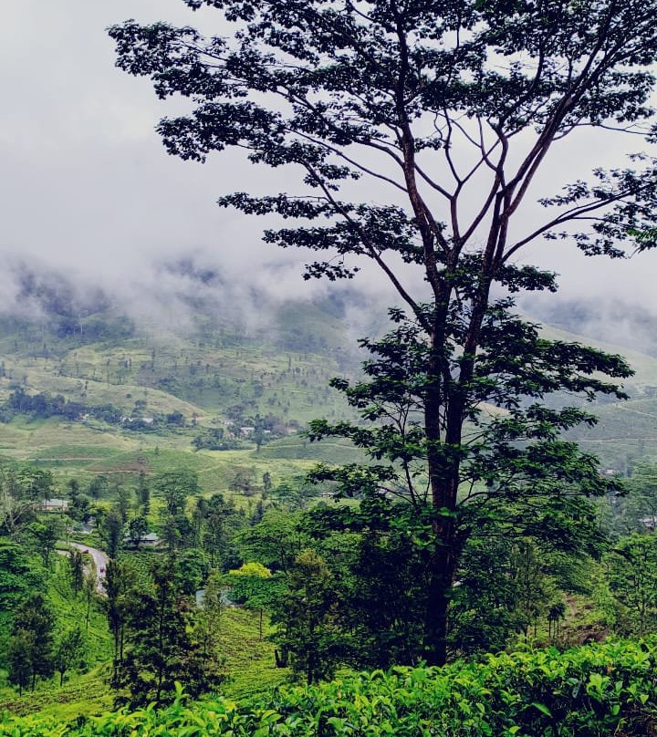 Knuckles Mountain Range-中央省必去景点