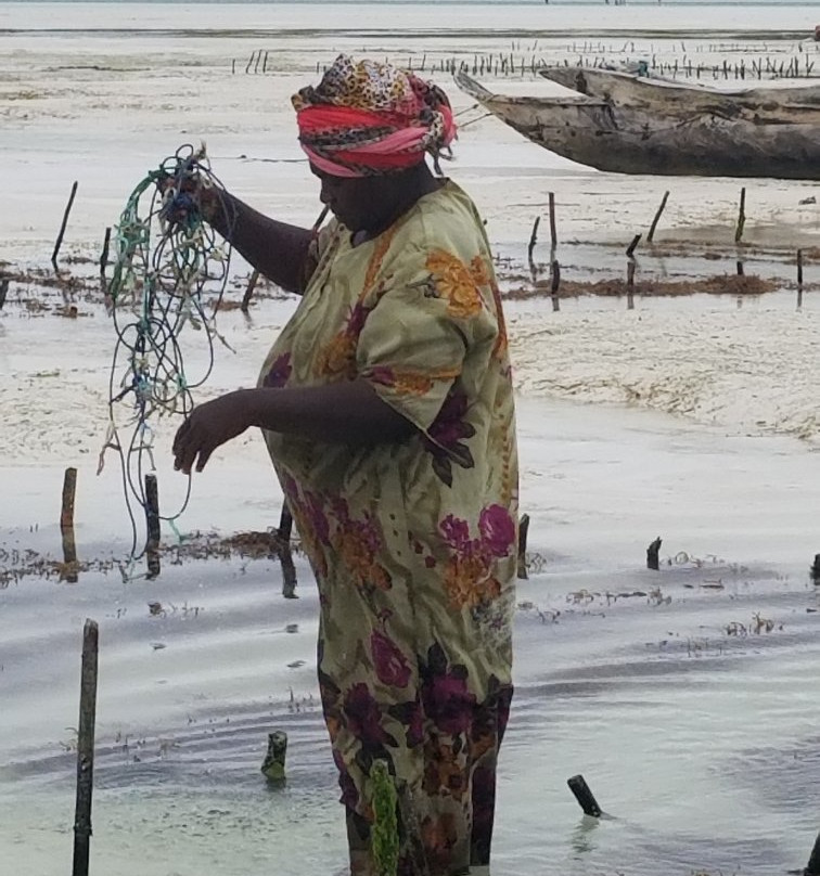 Jambiani Tours-江比阿尼必去景点
