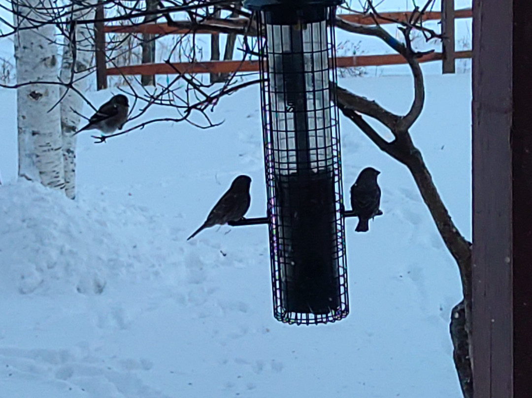 Point Au Roche Lodge主图