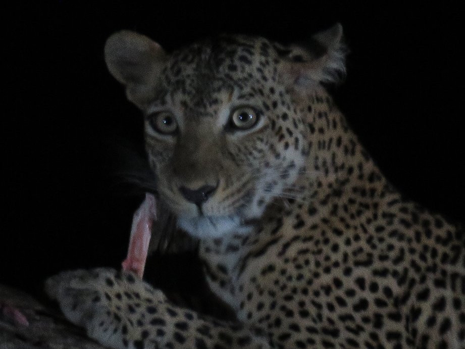 Excursions Bahati KENYA-瓦塔木必去景点