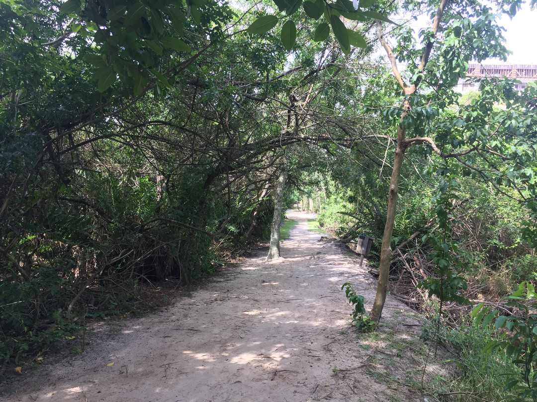 Parque das Capivaras em Meia Praia Itapema.-Itapema必去景点