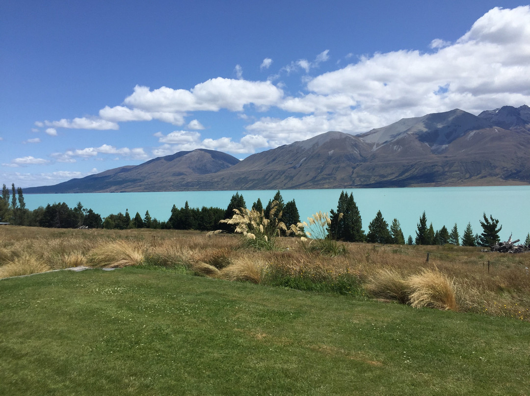 布雷马牧场主图