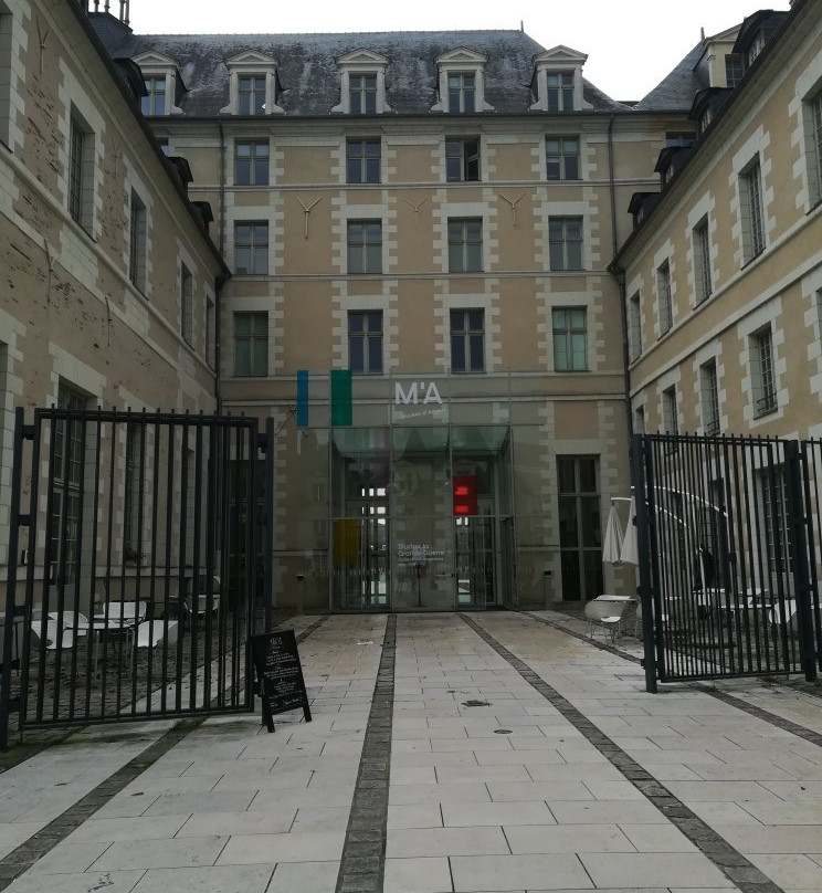 Musée des Beaux-Arts景点图片