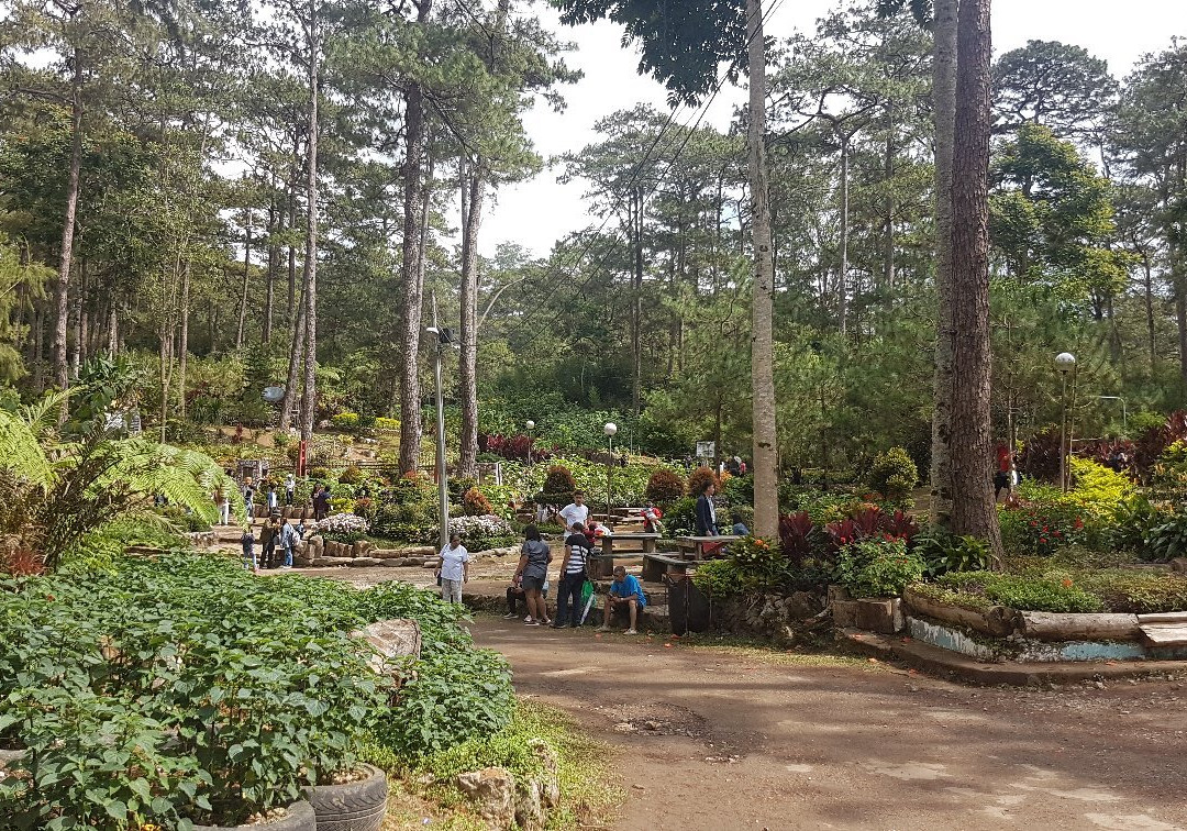 Baguio Botanical Garden景点图片