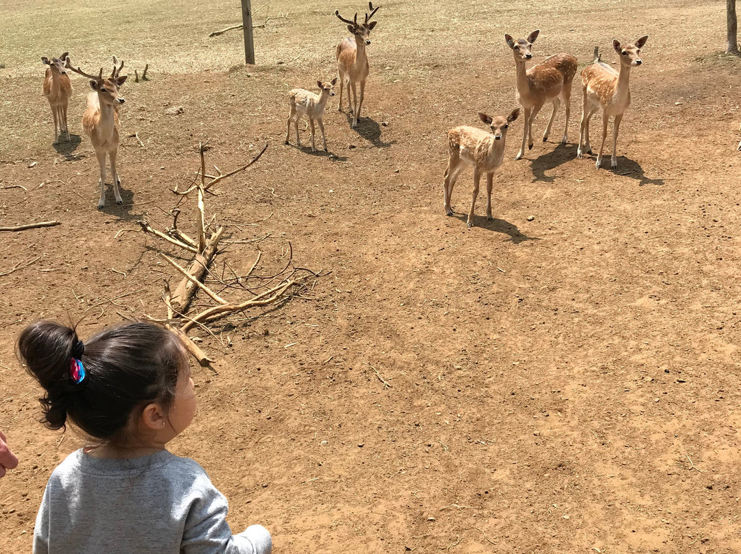 Granja Educativa de Villarrica El Dorado-比亚里卡必去景点