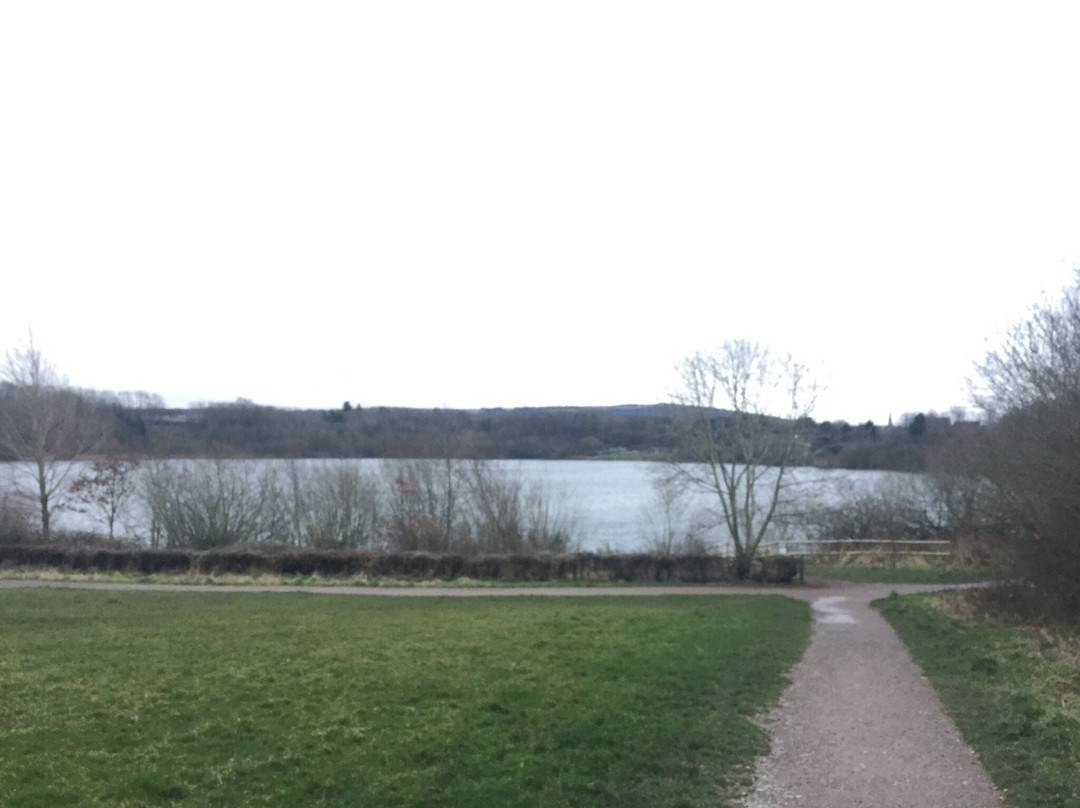 Astbury Mere Country Park-康格尔顿必去景点