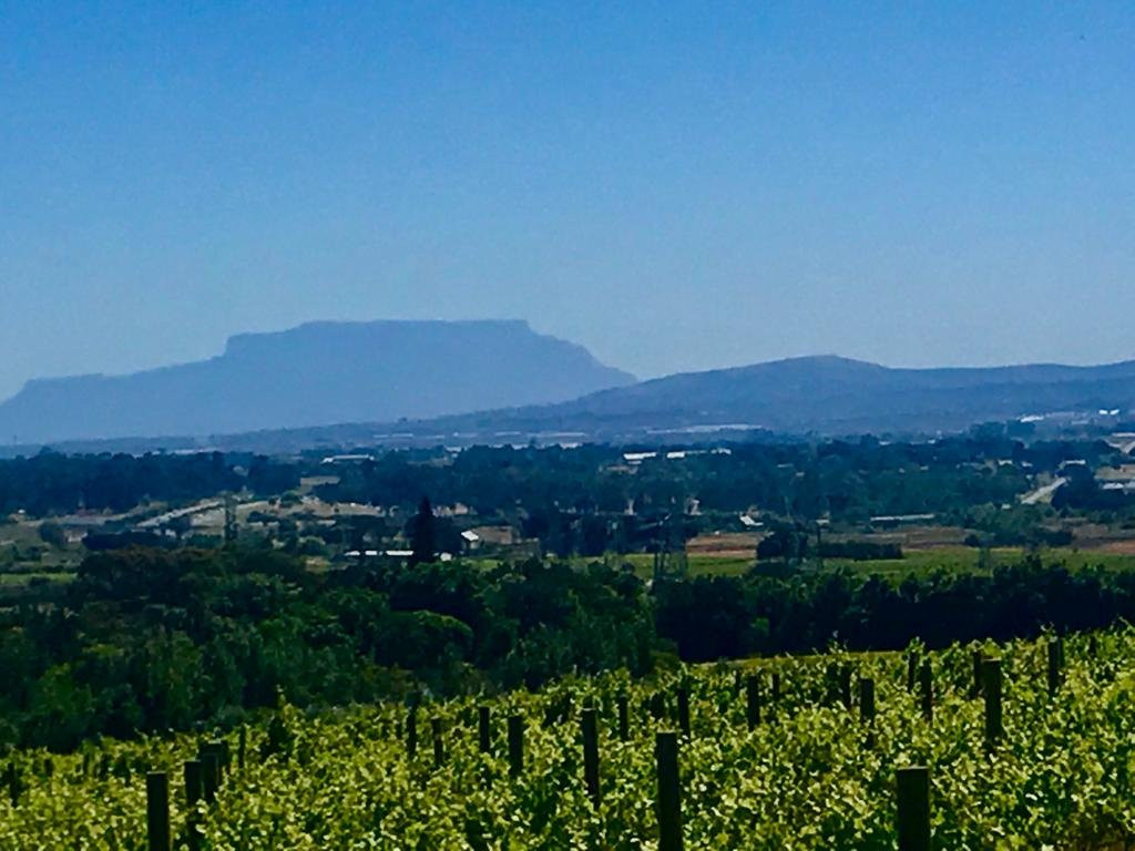 Ubuntu Horse Trails-斯泰伦博斯必去景点