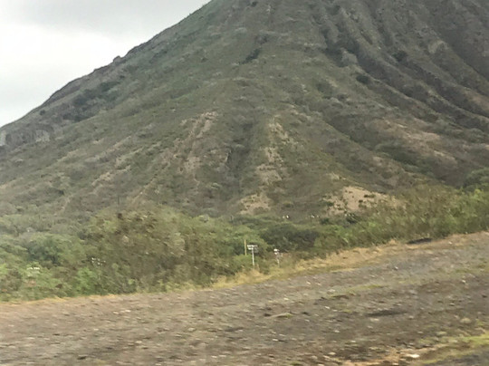 恐龙湾之旅-火奴鲁鲁必去景点