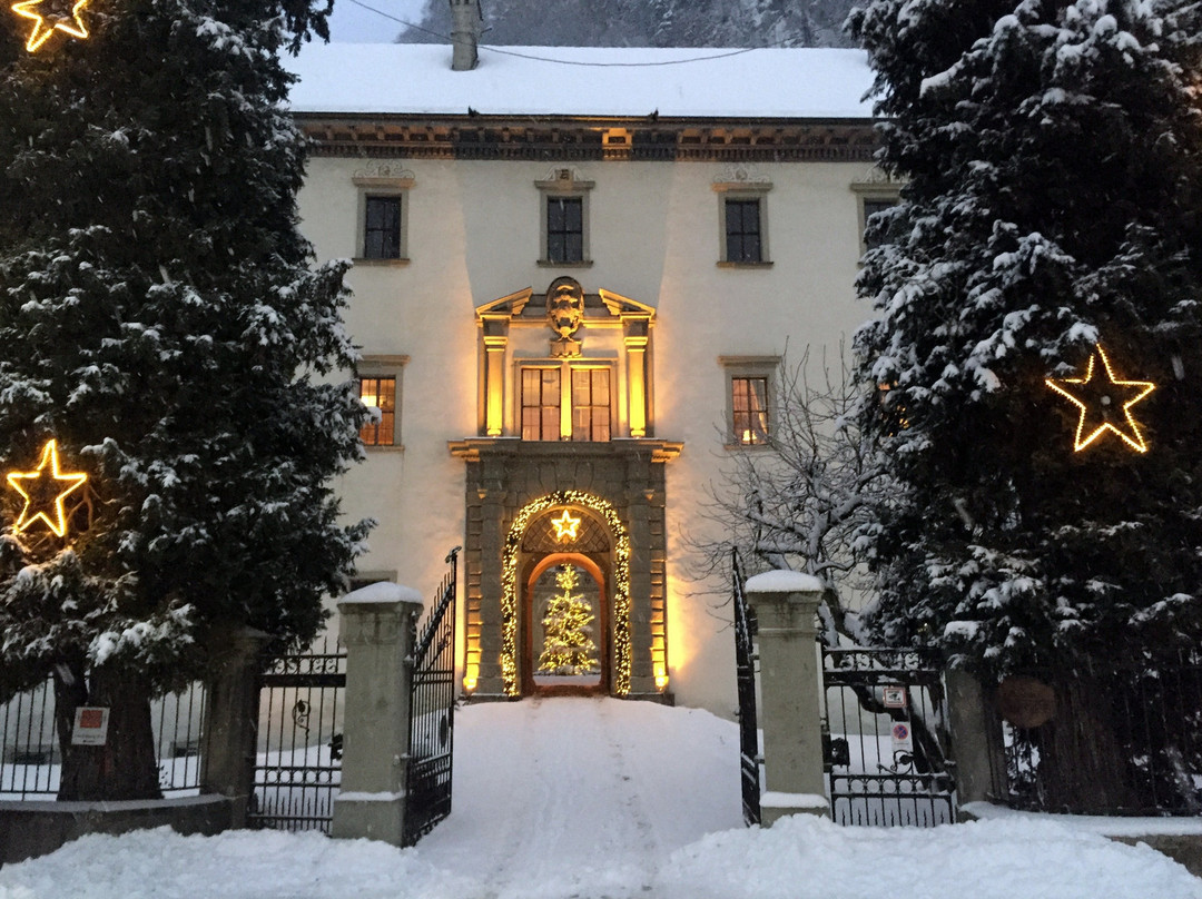 Schloss Hohenems景点图片