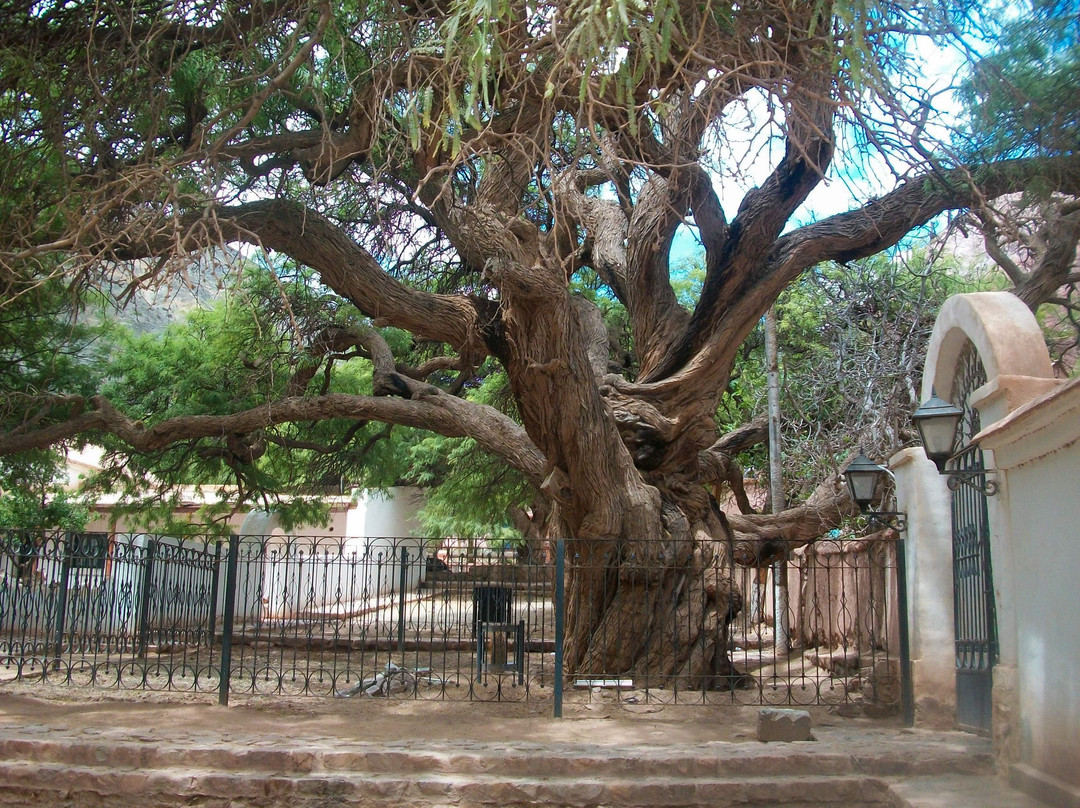 Algarrobo Historico景点图片