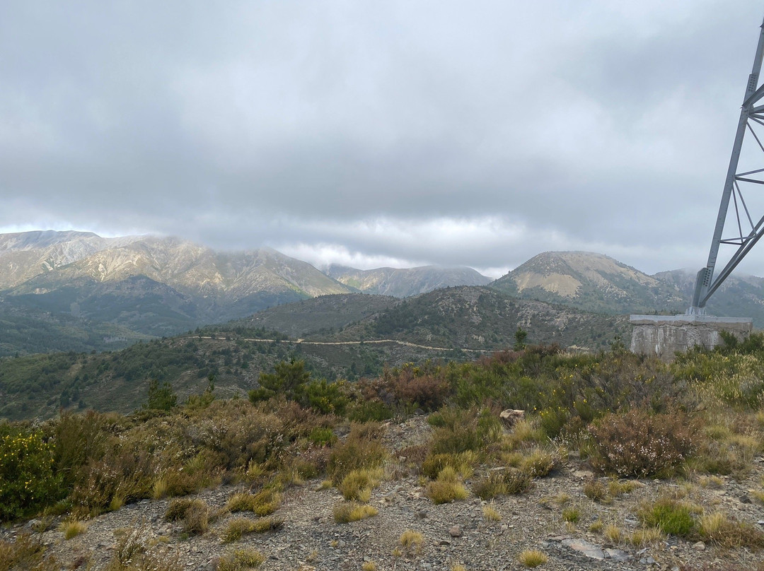 Molesworth Station景点图片