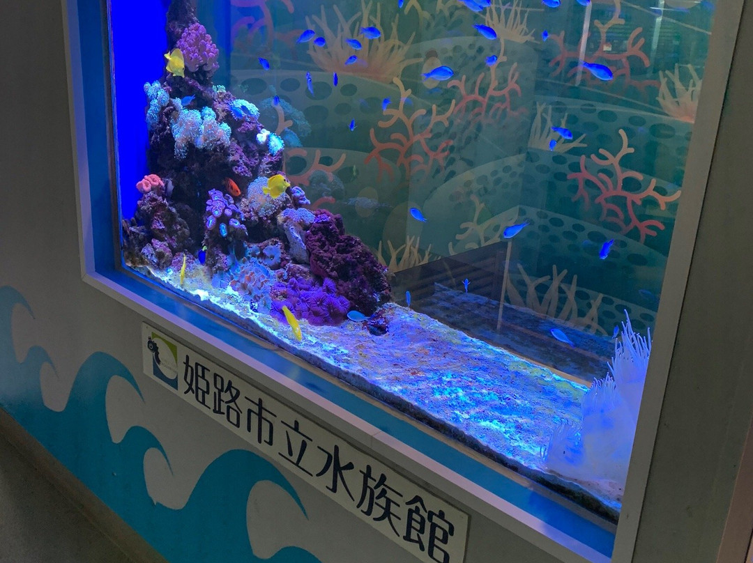 Himeji City Aquarium-姬路市必去景点