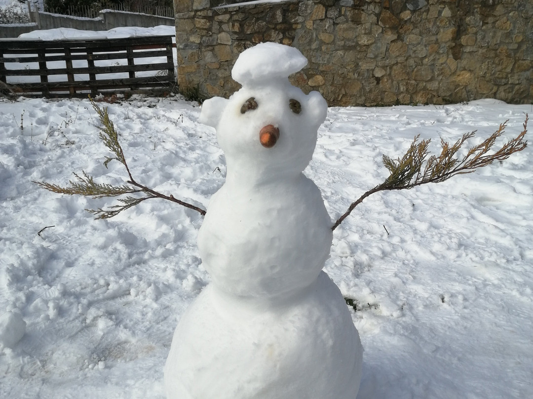 Colours' Chalet主图