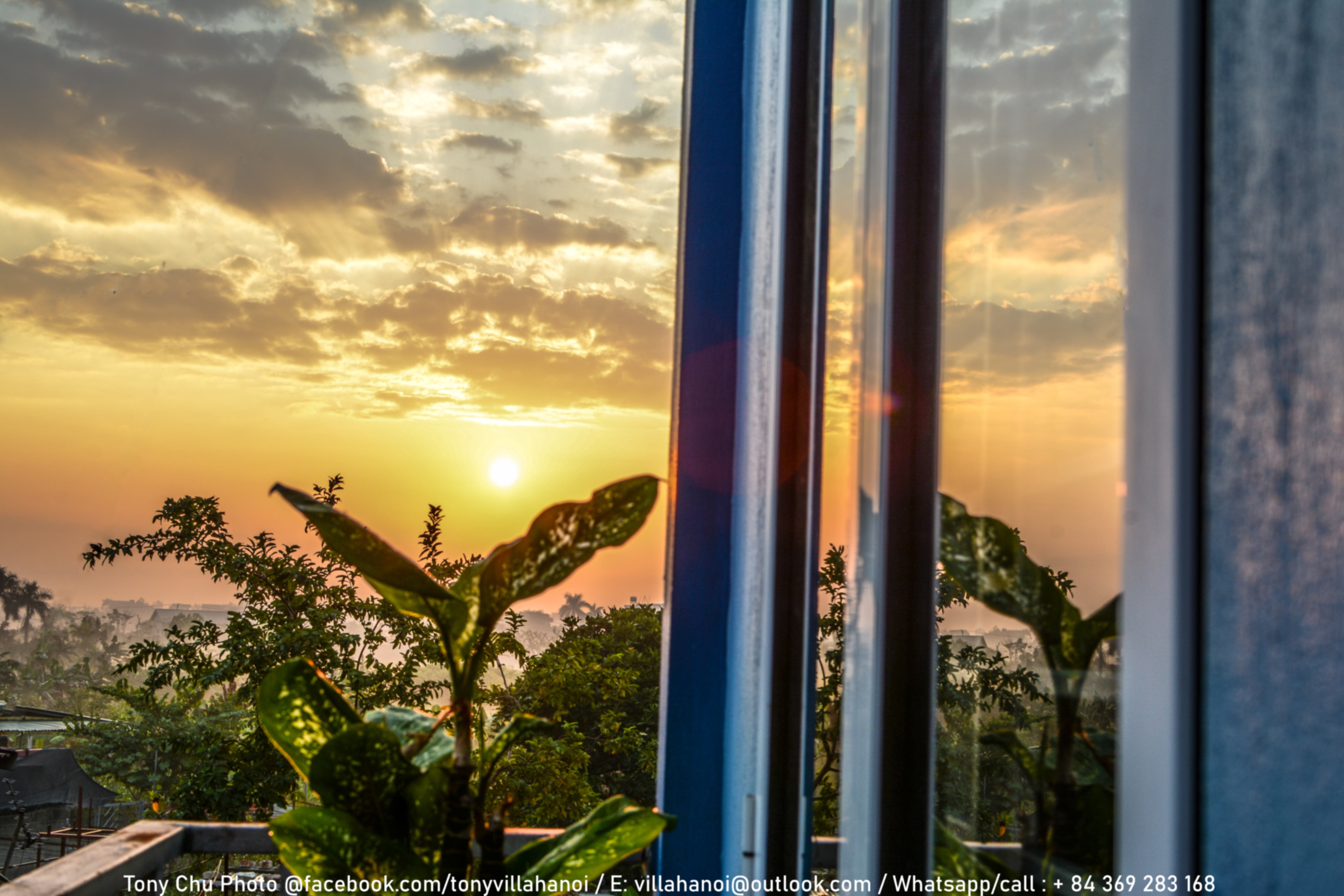 Tony Villa Homestay-官方