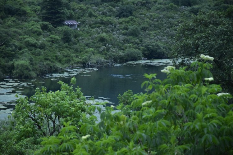 Parque Provincial Potrero de Yala景点图片
