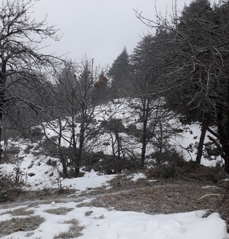 Bliss of Nature主图