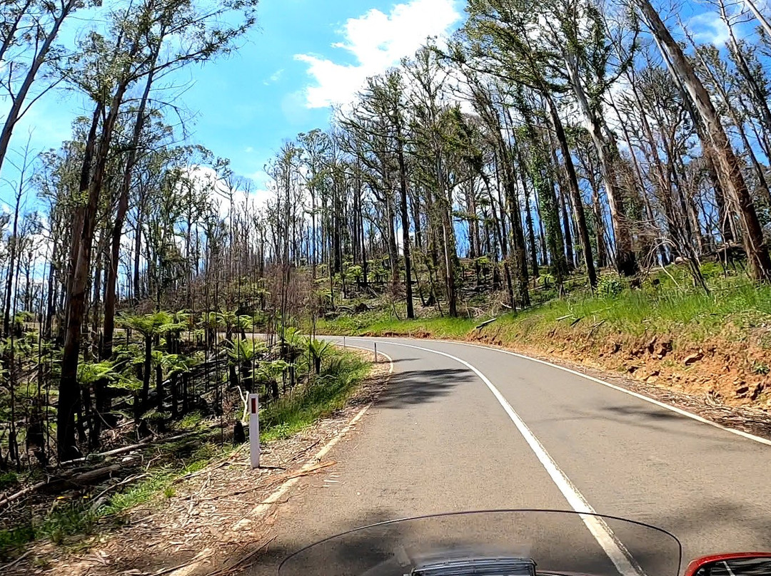 Marysville State Forest景点图片