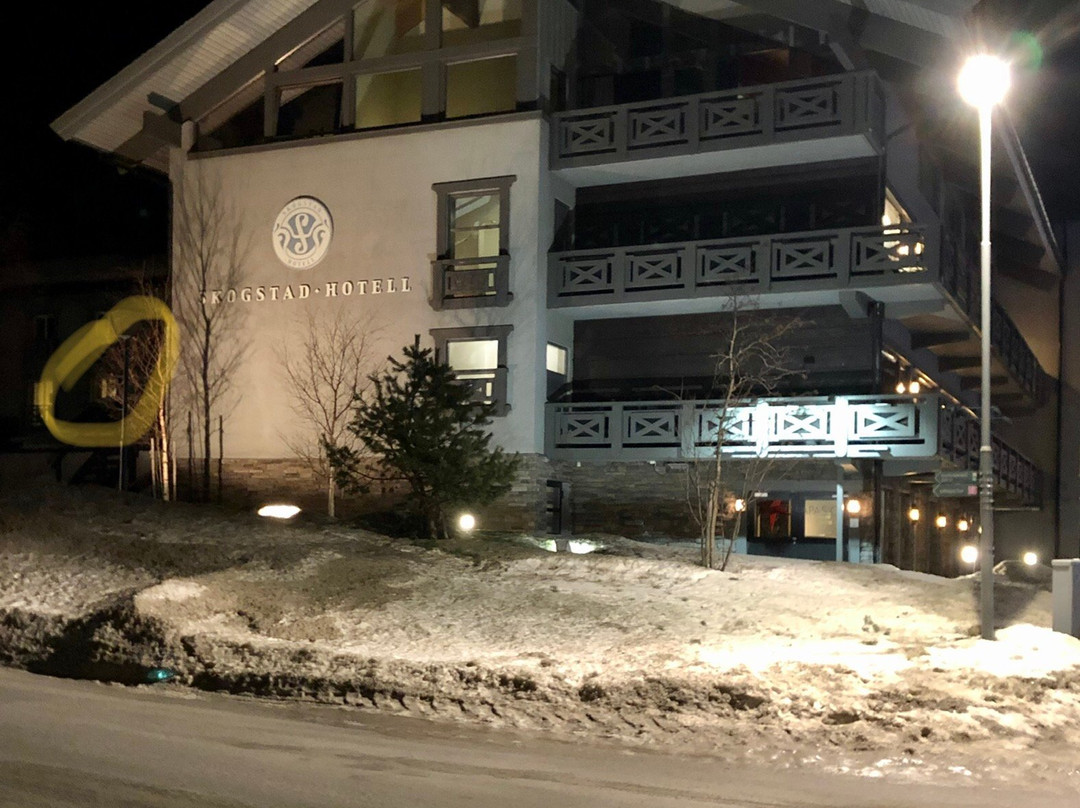 Skogstad Hotell主图