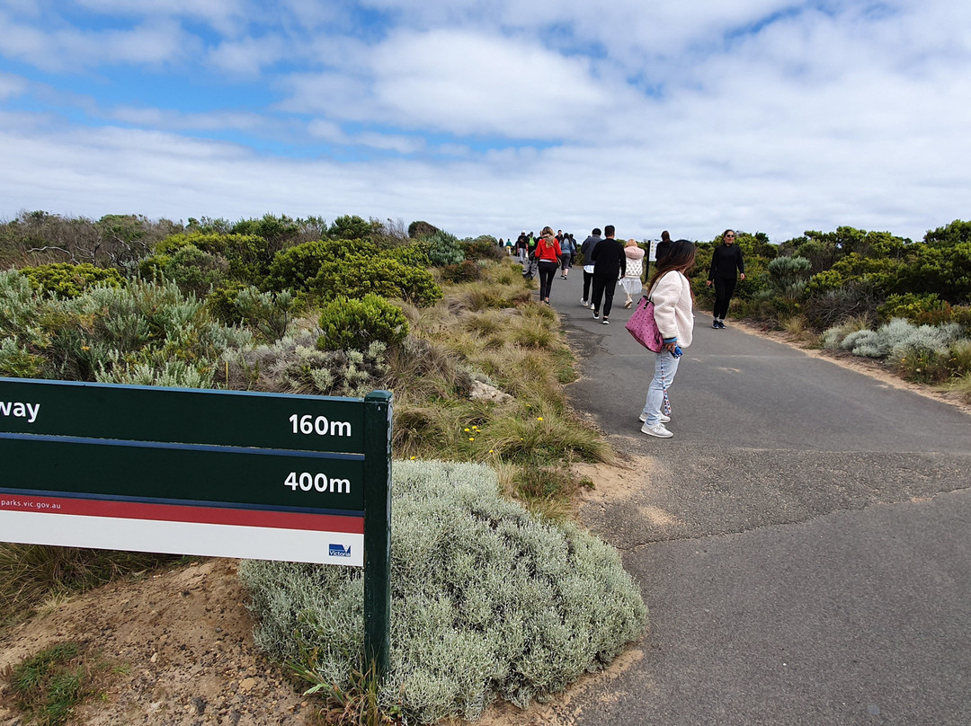 Island Arch Lookout-坎贝尔港必去景点