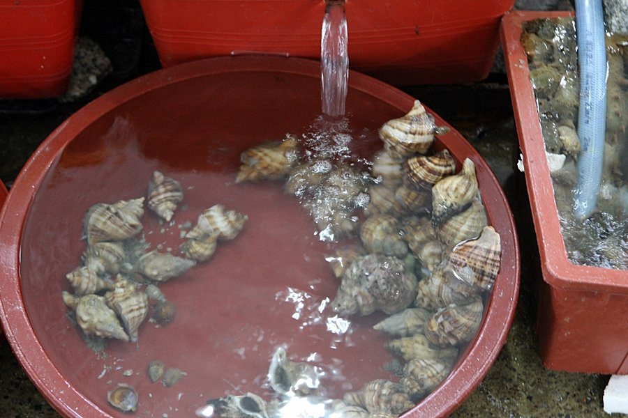 Suhyup Susanmul Center