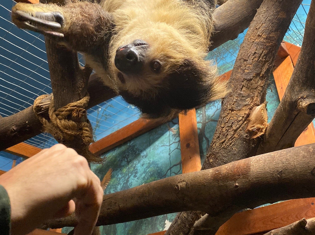 Animal Ed.Ventures at Noah's Landing景点图片