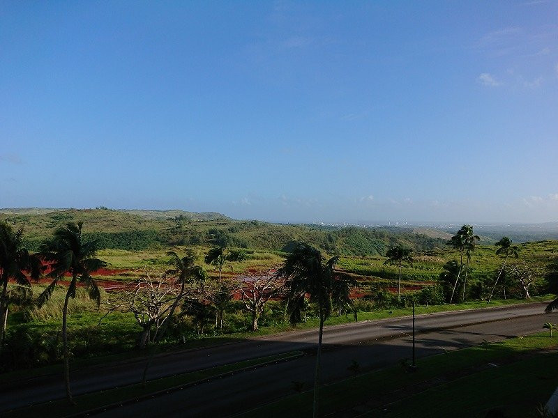 利奥宫殿酒店主图