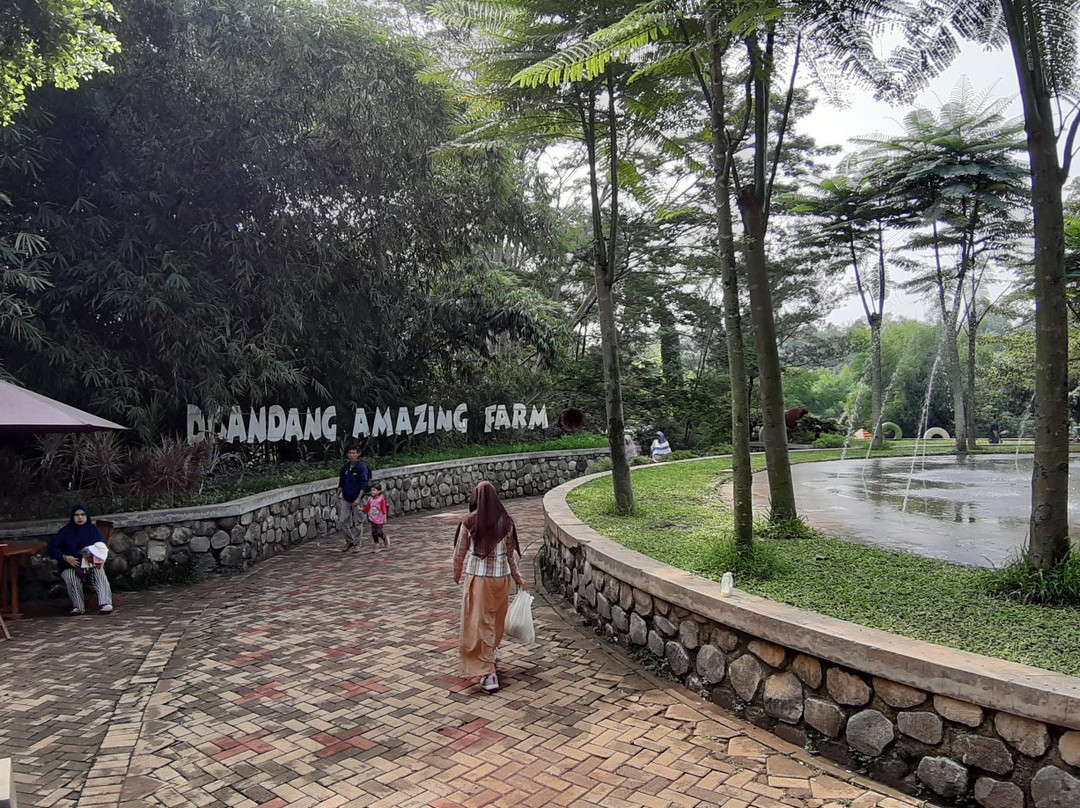 D'Kandang Amazing Farm景点图片