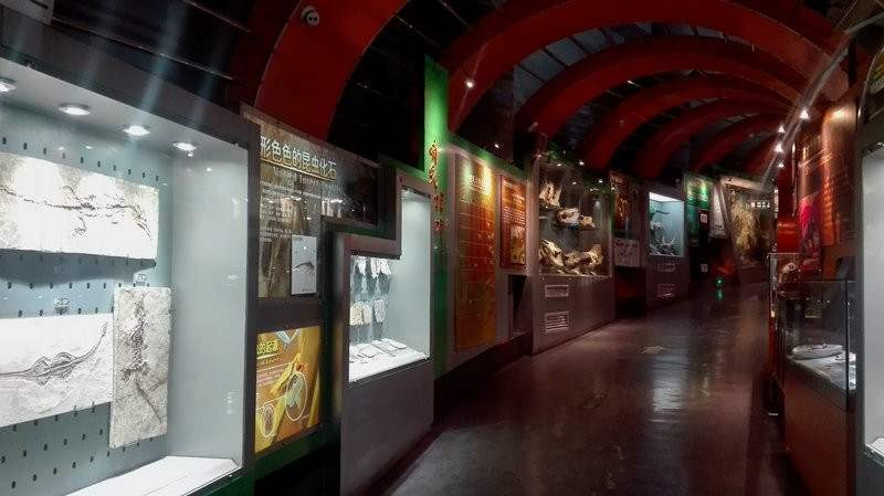 河南地质博物馆-郑州市必去景点