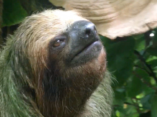 GTxpedition-塔马林多必去景点